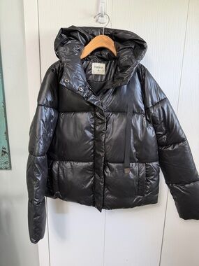 HALARA Shiny Black Hooded Puffer Jacket